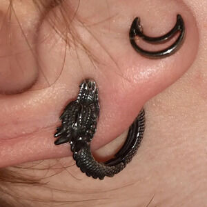 Women  Hypoallergenic Stainless Steel Stud Personalized Dragon Earrings